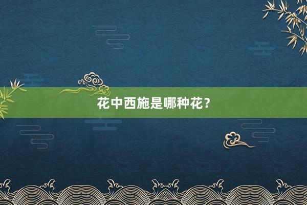 花中西施是哪种花？